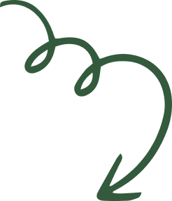 section arrow